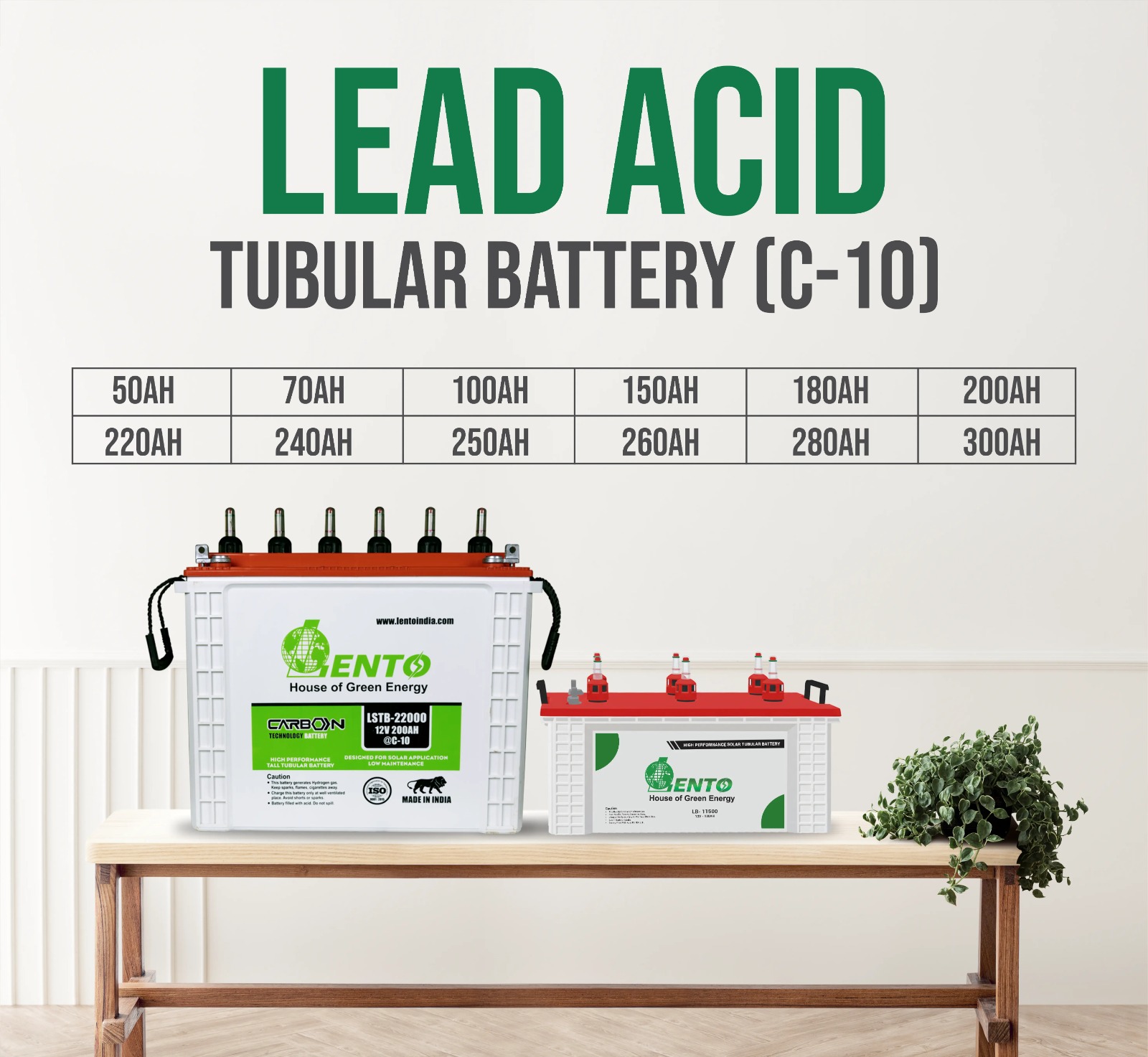 Lead Acid Tubular Battery (C-10)